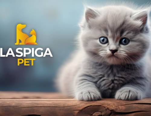La Spiga Pet – ecommerce