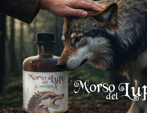 Morso del Lupo – identità visiva